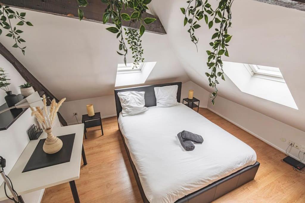 Appartement Lalique 540 Hypercentre à Reims Extérieur photo